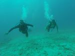 Hawaii Scuba divng 22