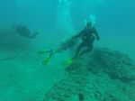 Hawaii Scuba divng 26