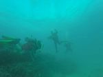 Hawaii Scuba divng 30