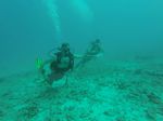 Hawaii Scuba divng 03