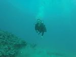 Hawaii Scuba divng 05