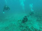 Hawaii Scuba divng 06