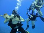 Hawaii Scuba divng 10