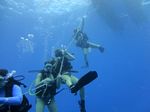 Hawaii Scuba divng 11