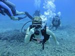 Hawaii Scuba divng 18