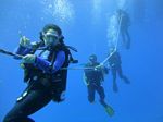 Hawaii Scuba divng 24