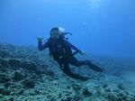 Hawaii Scuba divng 26