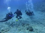 Hawaii Scuba divng 27