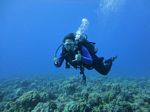 Hawaii Scuba divng 28