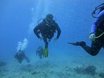 Hawaii Scuba divng 30