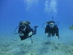 Hawaii Scuba divng 35