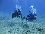 Hawaii Scuba divng 36