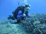 Hawaii Scuba divng 37