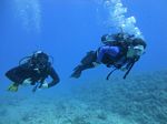 Hawaii Scuba divng 38