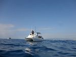 Hawaii Scuba divng 03
