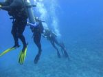Hawaii Scuba divng 43
