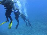 Hawaii Scuba divng 43