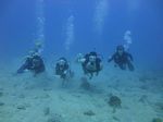 Hawaii Scuba divng 10