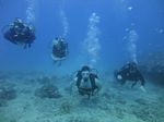 Hawaii Scuba divng 11