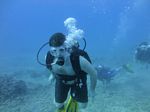 Hawaii Scuba divng 12