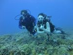 Hawaii Scuba divng 15