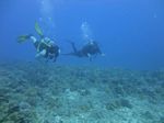 Hawaii Scuba divng 16