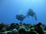 Hawaii Scuba divng 20