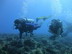 Hawaii Scuba divng 22