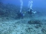 Hawaii Scuba divng 23