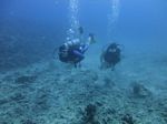 Hawaii Scuba divng 24