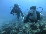 Hawaii Scuba divng 25