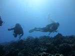 Hawaii Scuba divng 26