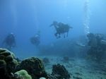 Hawaii Scuba divng 28