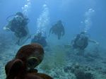 Hawaii Scuba divng 36