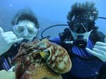 Hawaii Scuba divng 41