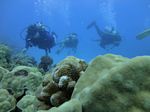 Hawaii Scuba divng 59