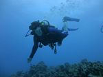 Hawaii Scuba divng 62