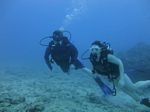 Hawaii Scuba divng 63