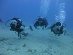 Hawaii Scuba divng 64