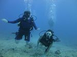 Hawaii Scuba divng 65