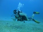 Hawaii Scuba 32