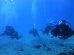 Oahu Scuba 16