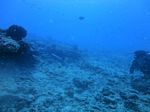 Oahu Scuba 24