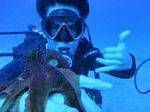 Oahu Scuba 41
