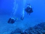 Oahu Scuba 55