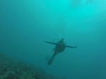 Hawaii Scuba divng 11