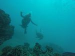 Hawaii Scuba divng 16