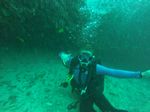 Hawaii Scuba divng 22