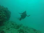 Hawaii Scuba divng 27