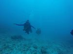 Hawaii Scuba divng 36